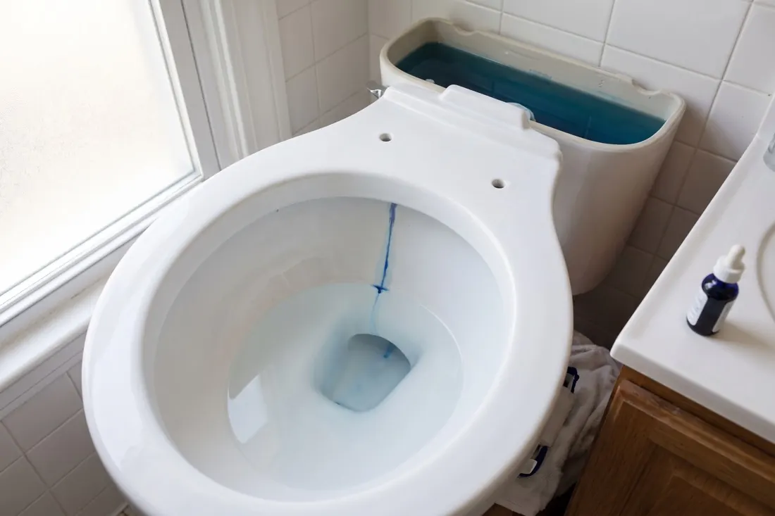 Food coloring seeping from the tank into the toilet bowl