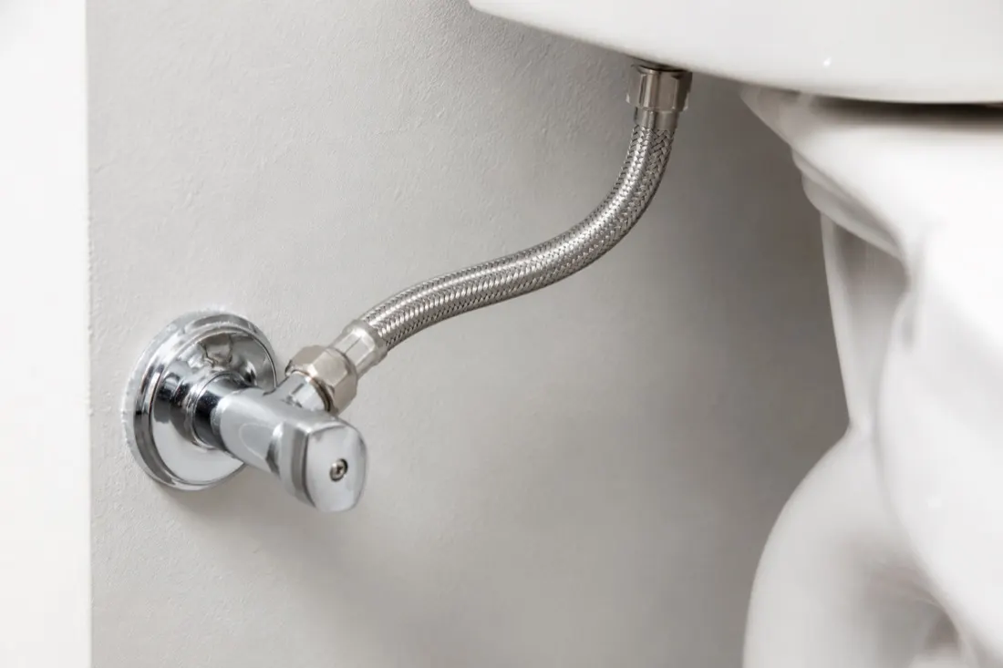 The supply shutoff, behind the toilet