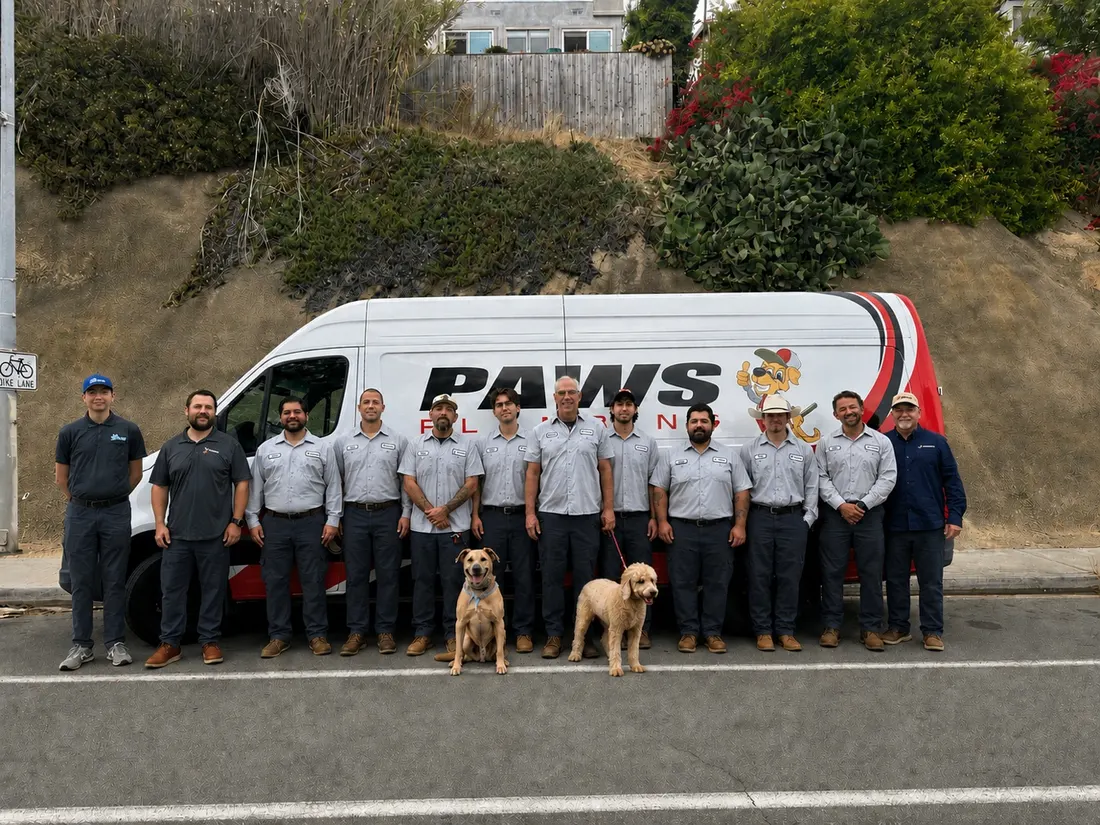 The Paws Plumbing team and shop dogs in front of a Paws van