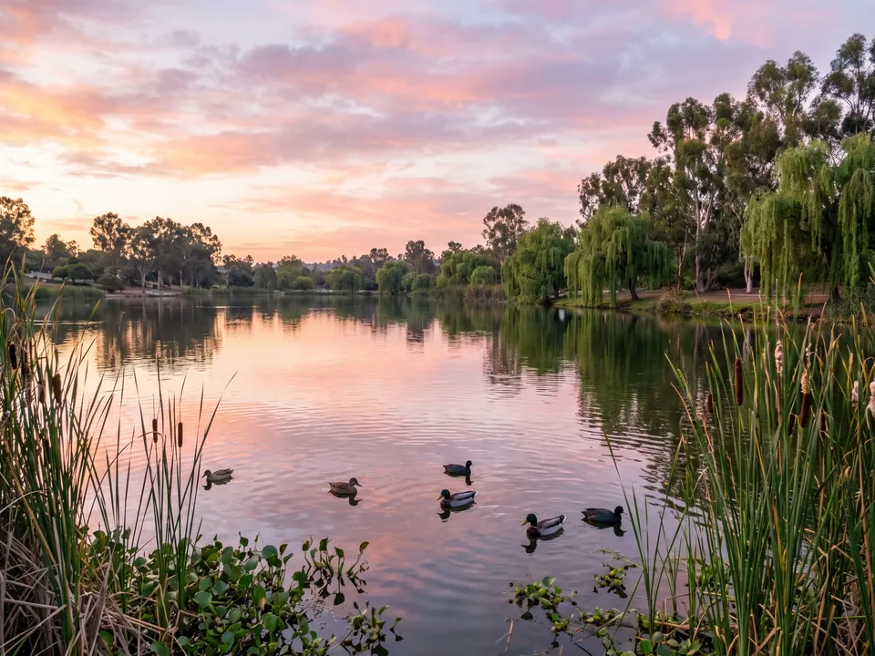 Santee Lakes near our Santee service area