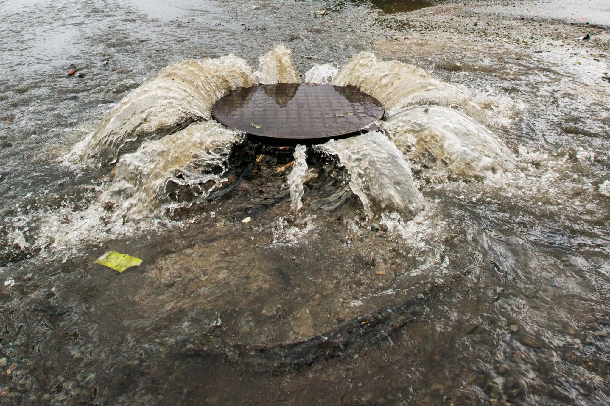 Sewer overflow, Plumbing in San Diego.