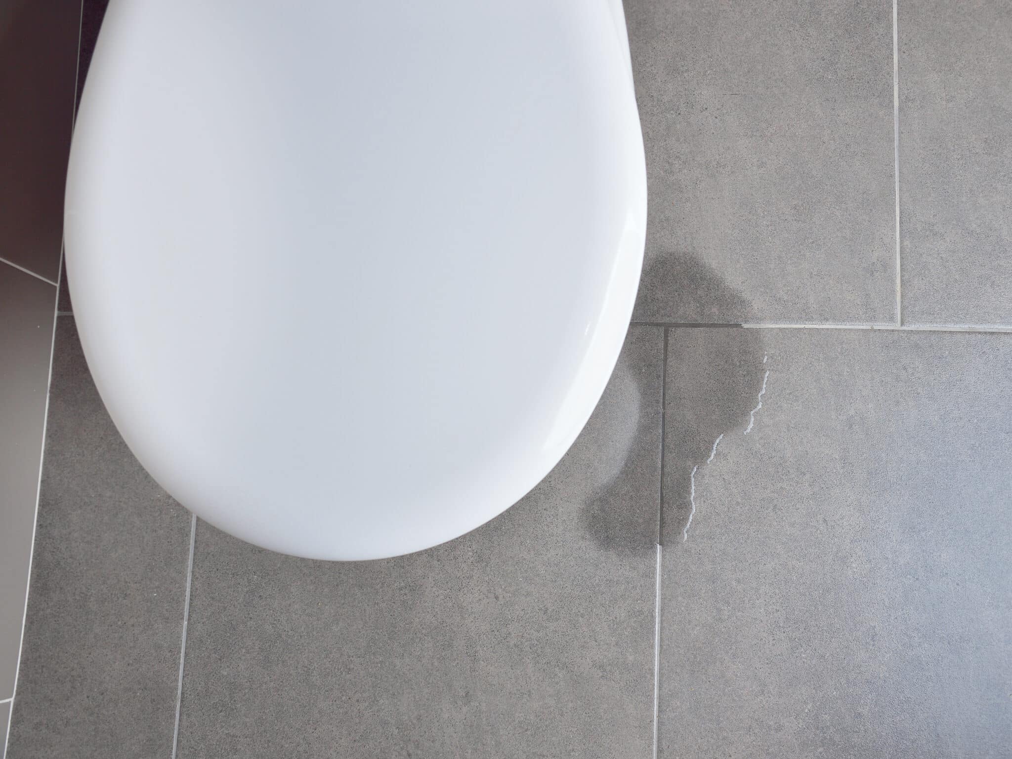 Leakage of water from a toilet, Toilet Flange Repair.