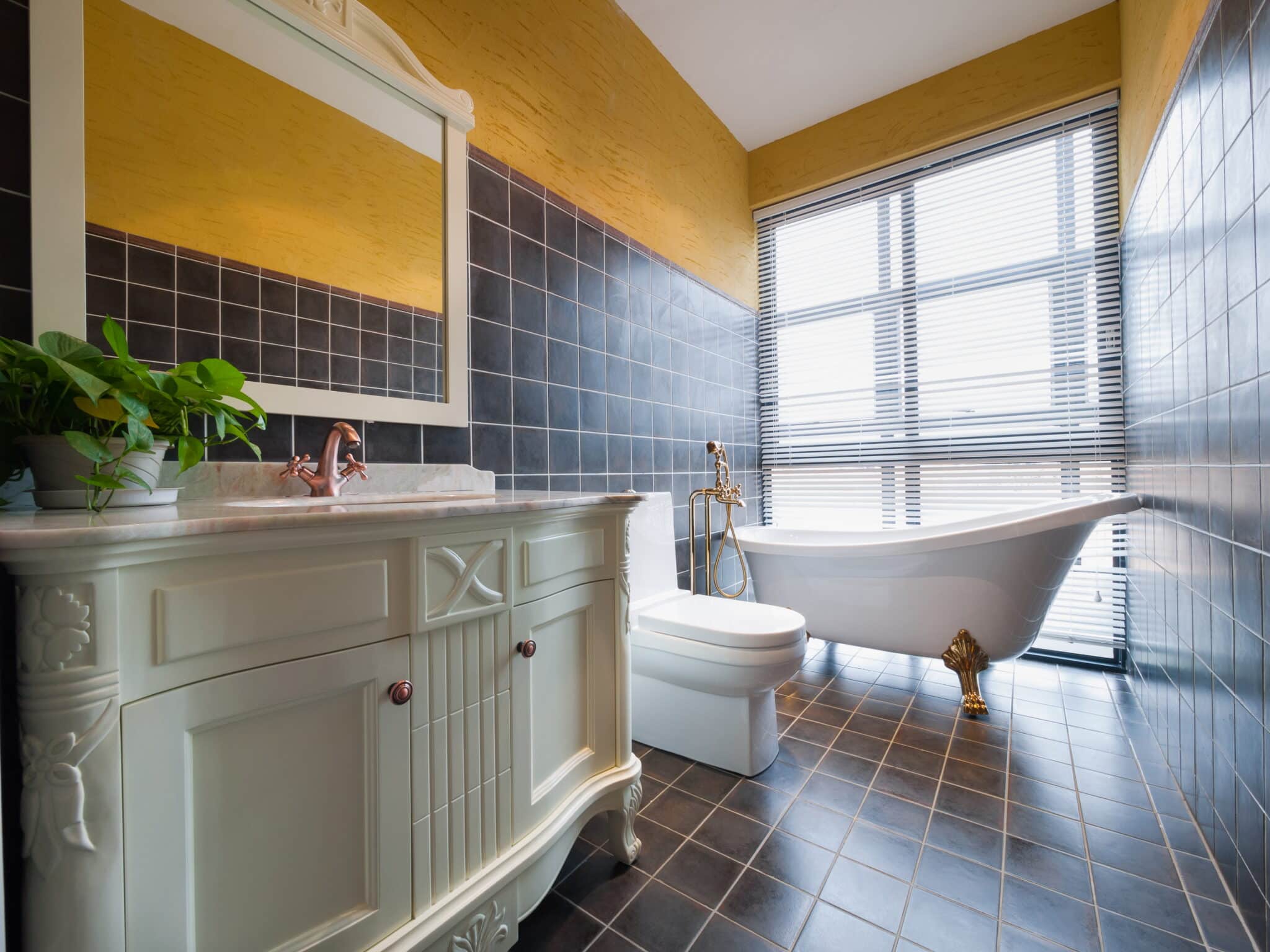 Home plumbing system for efficiency, Whole Home Plumbing Solutions.