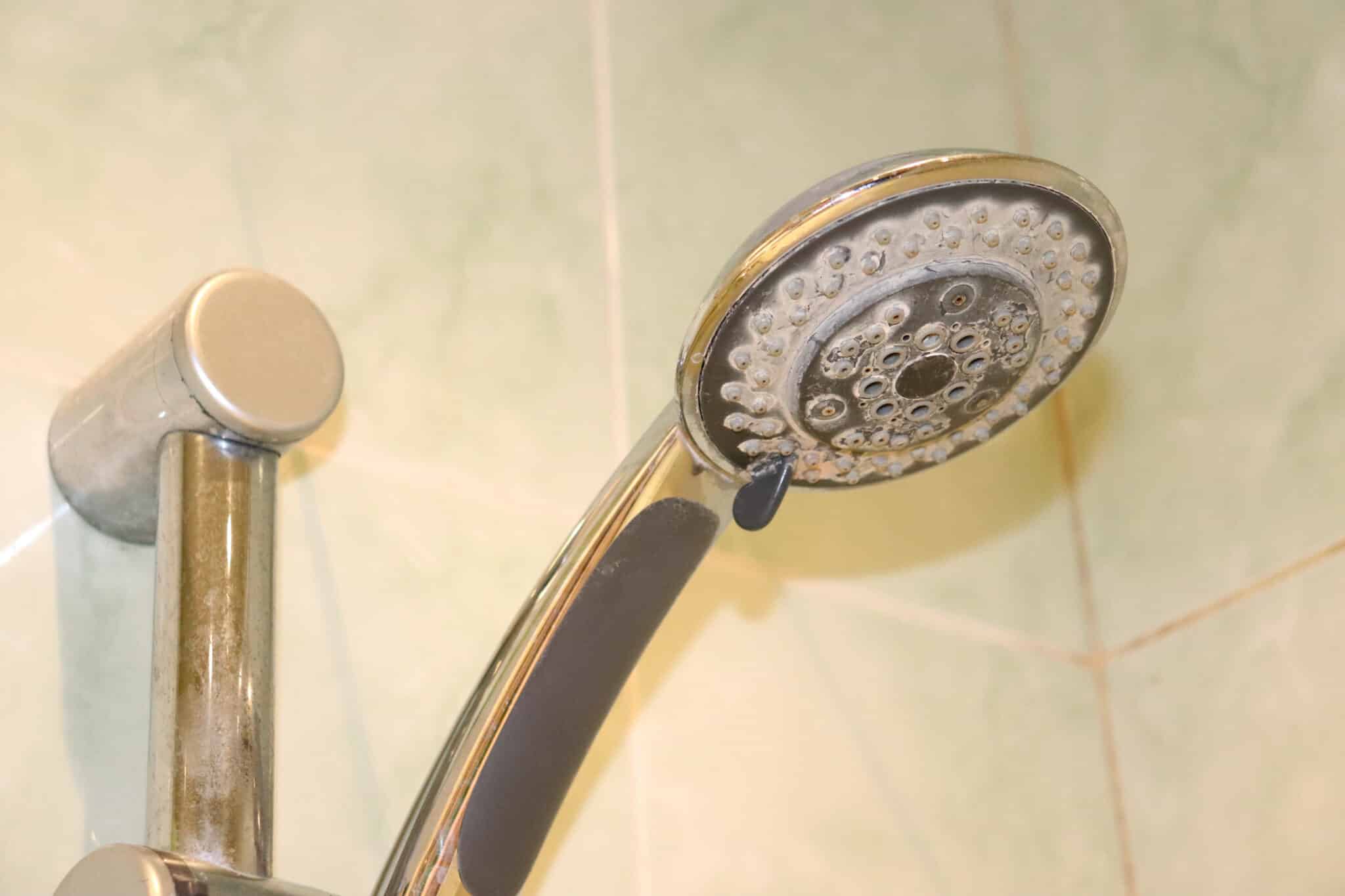 Shower head with limescale, Hard water.